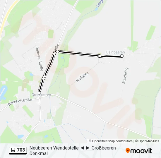 703 Bus Line Map