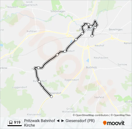 919 Bus Line Map