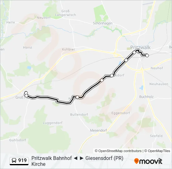 919 Bus Line Map