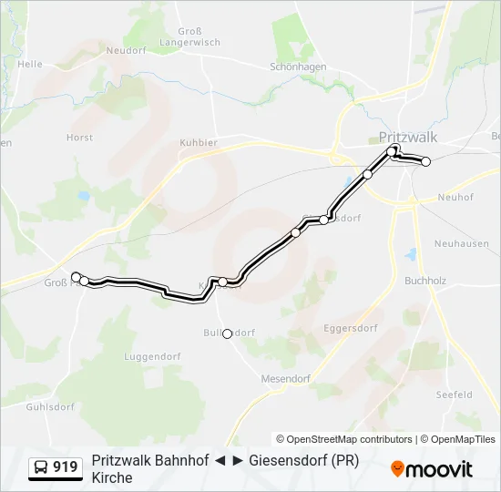 919 Bus Line Map