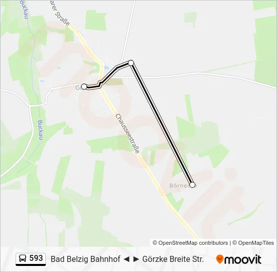 Автобус 593: карта маршрута