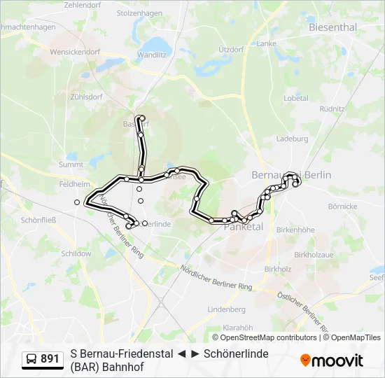 Автобус 891: карта маршрута