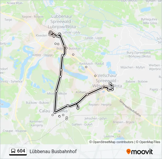 Автобус 604: карта маршрута