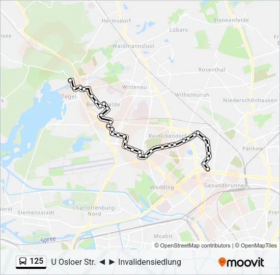 125 Bus Line Map