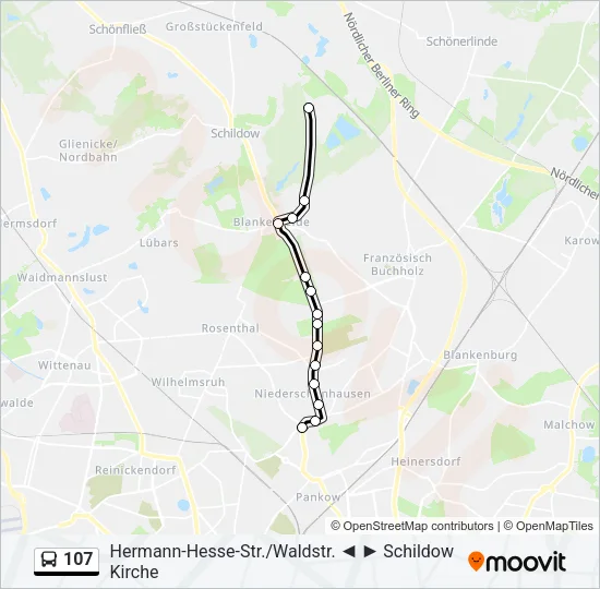 107 Bus Line Map