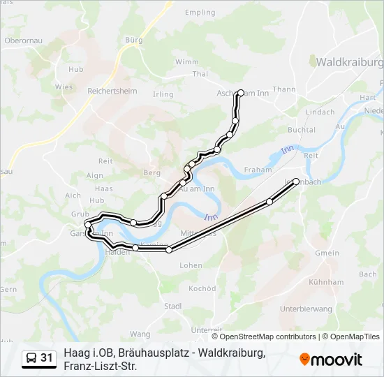 31 Bus Line Map