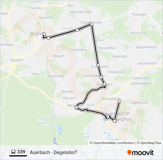 339 Bus Line Map