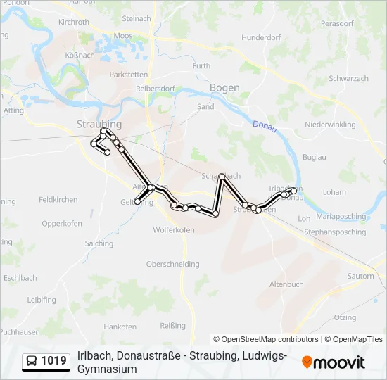 1019 Bus Line Map