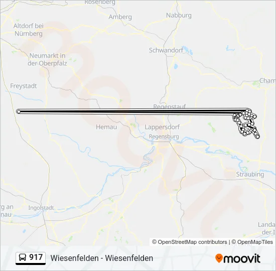917 Bus Line Map