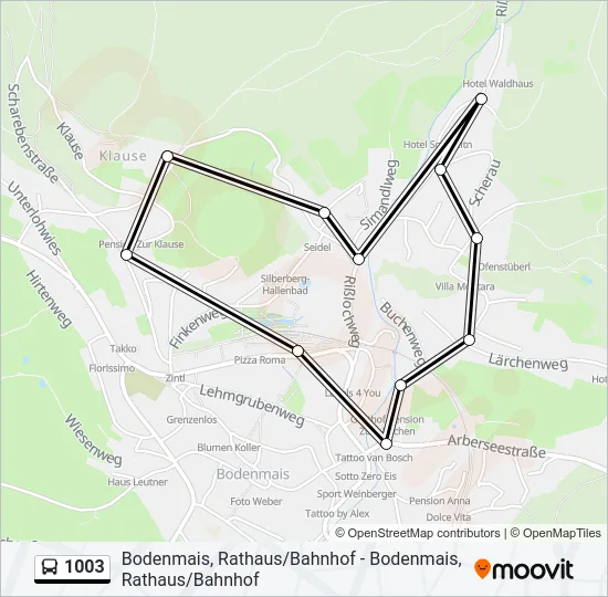 Автобус 1003: карта маршрута