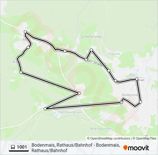 Автобус 1001: карта маршрута