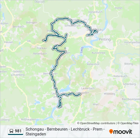 981 Bus Line Map