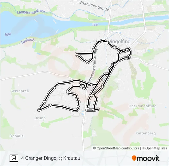 Автобус ORANGER DINGO: карта маршрута