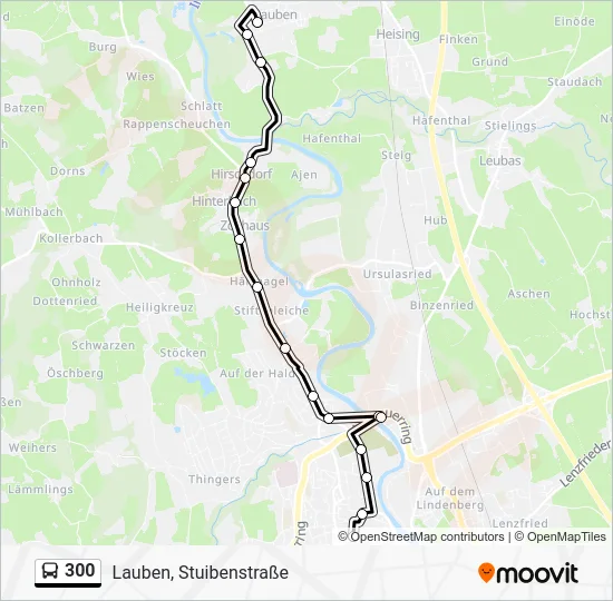 Автобус 300: карта маршрута