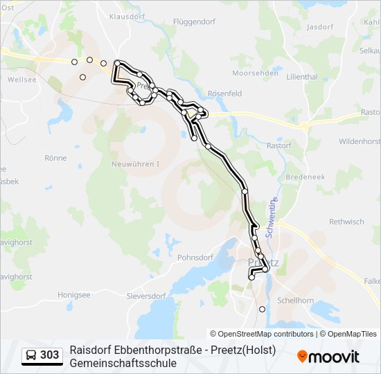 Buslinie 303 Karte