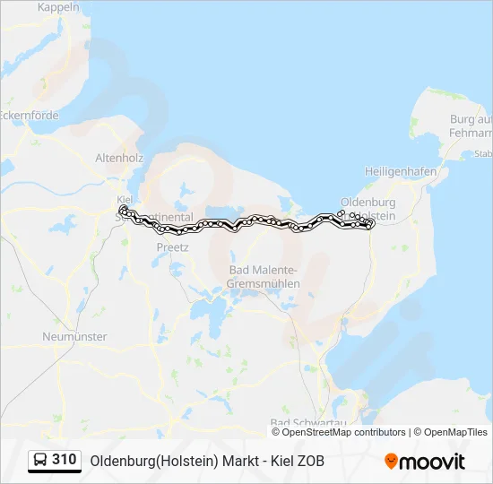 Автобус 310: карта маршрута