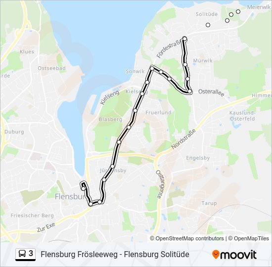 3 Route: Schedules, Stops & Maps - Flensburg Zob (Updated)