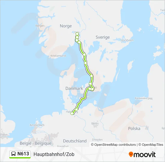 Автобус N613: карта маршрута