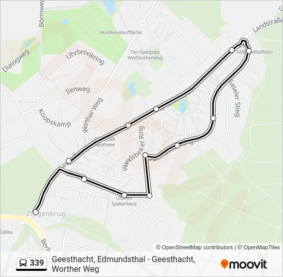 Автобус 339: карта маршрута