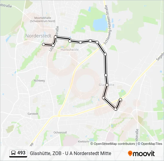 Автобус 493: карта маршрута