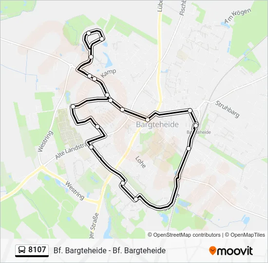 Автобус 8107: карта маршрута