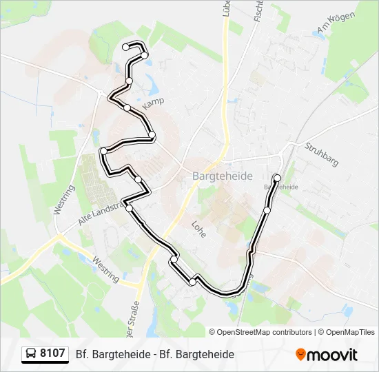 Автобус 8107: карта маршрута