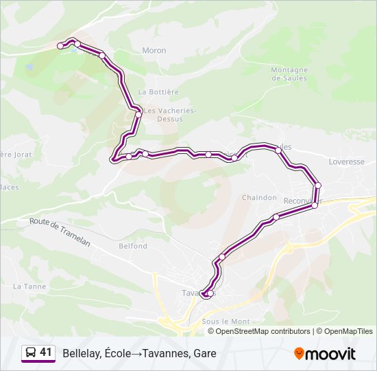 41 Bus Line Map