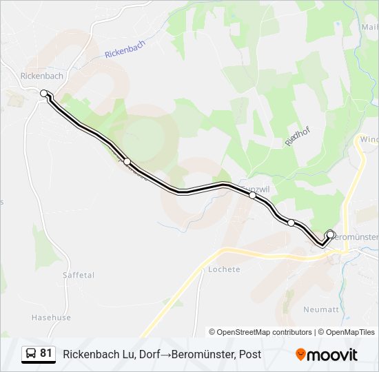 81 Bus Line Map