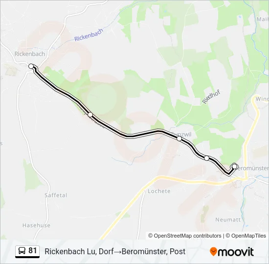 81 Bus Line Map