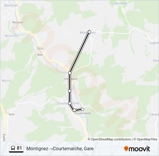 81 Bus Line Map