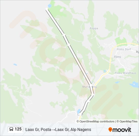 125 Bus Line Map