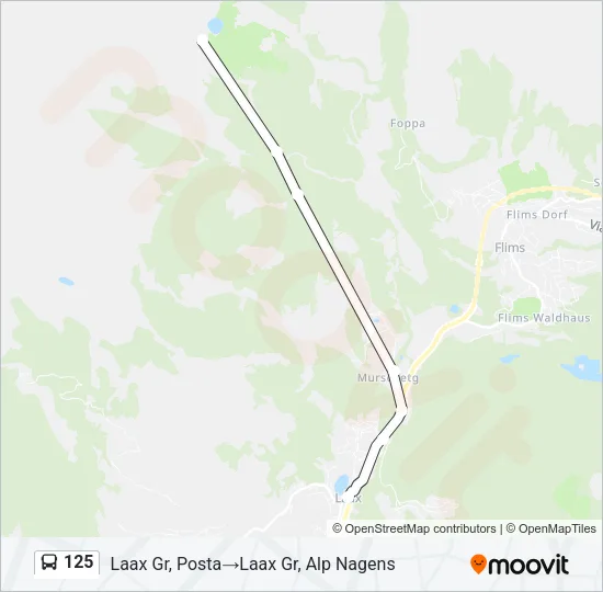 125 Bus Line Map