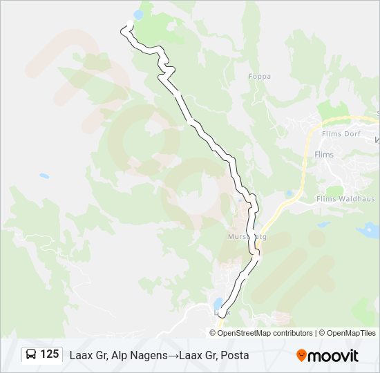 125 Bus Line Map
