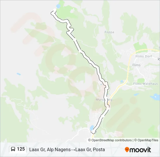 125 Bus Line Map