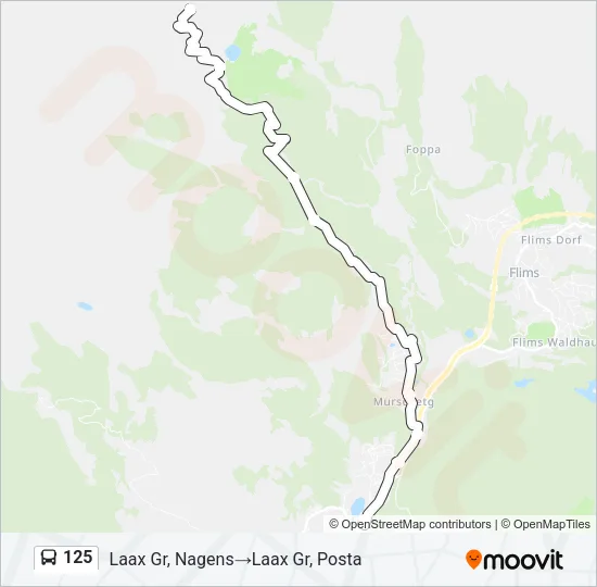 125 Bus Line Map