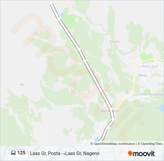 125 Bus Line Map