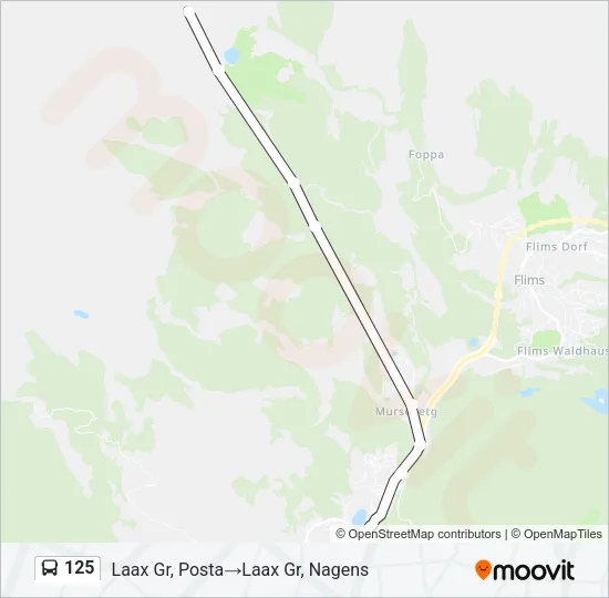 125 Bus Line Map