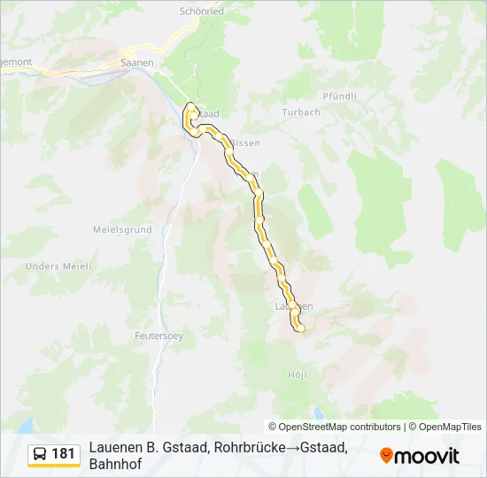 181 Bus Line Map
