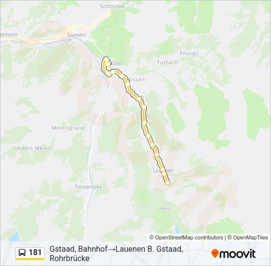 181 Bus Line Map