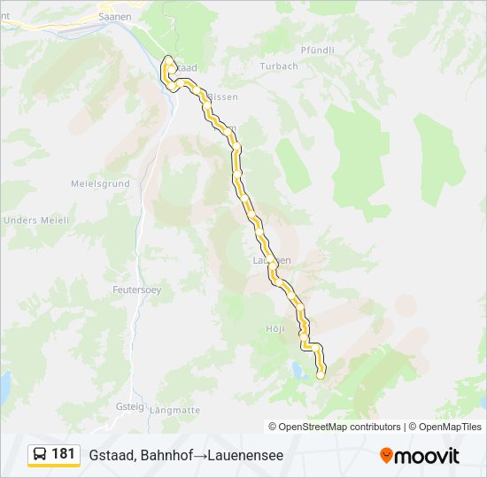 181 Bus Line Map