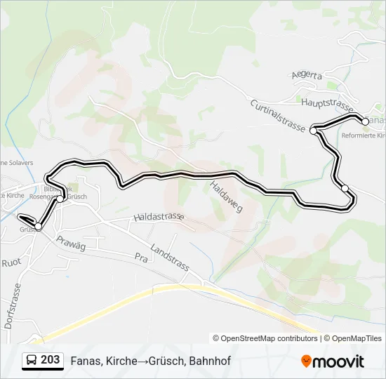 203 Bus Line Map