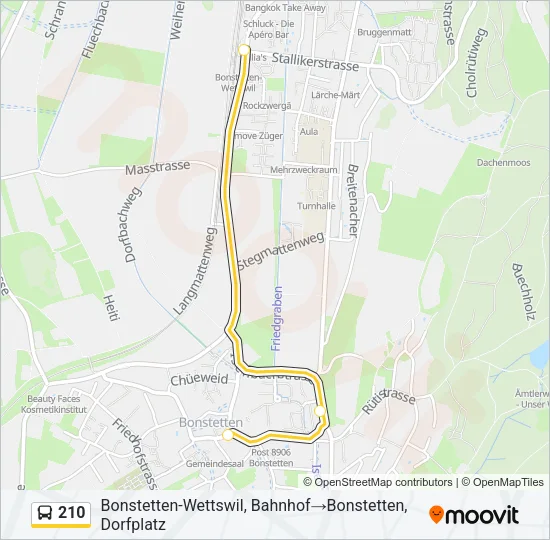 210 Bus Line Map