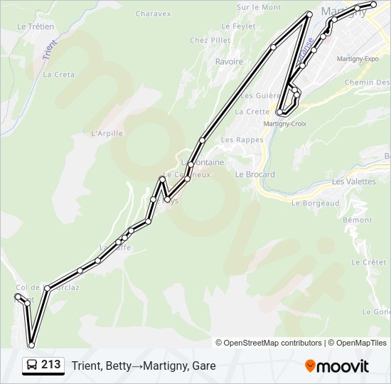 213 Bus Line Map