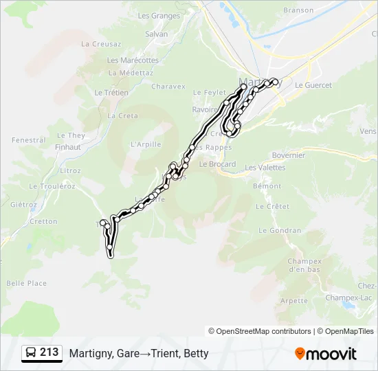 213 Bus Line Map