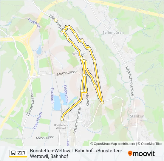 221 Bus Line Map
