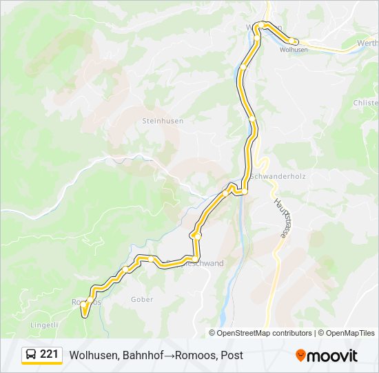221 Bus Line Map
