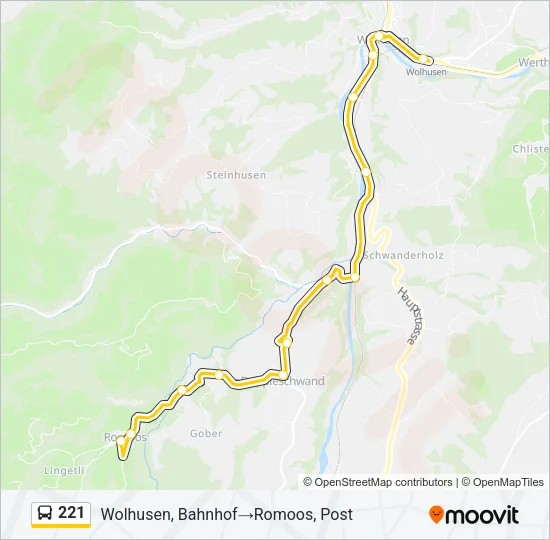 221 Bus Line Map
