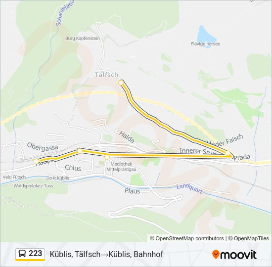 223 Bus Line Map