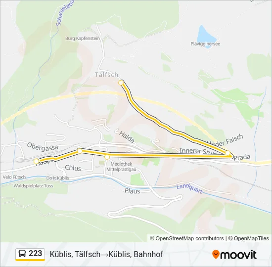 223 Bus Line Map