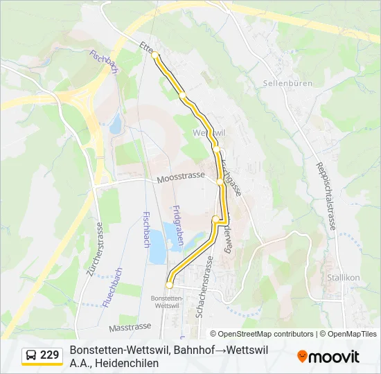 229 Bus Line Map